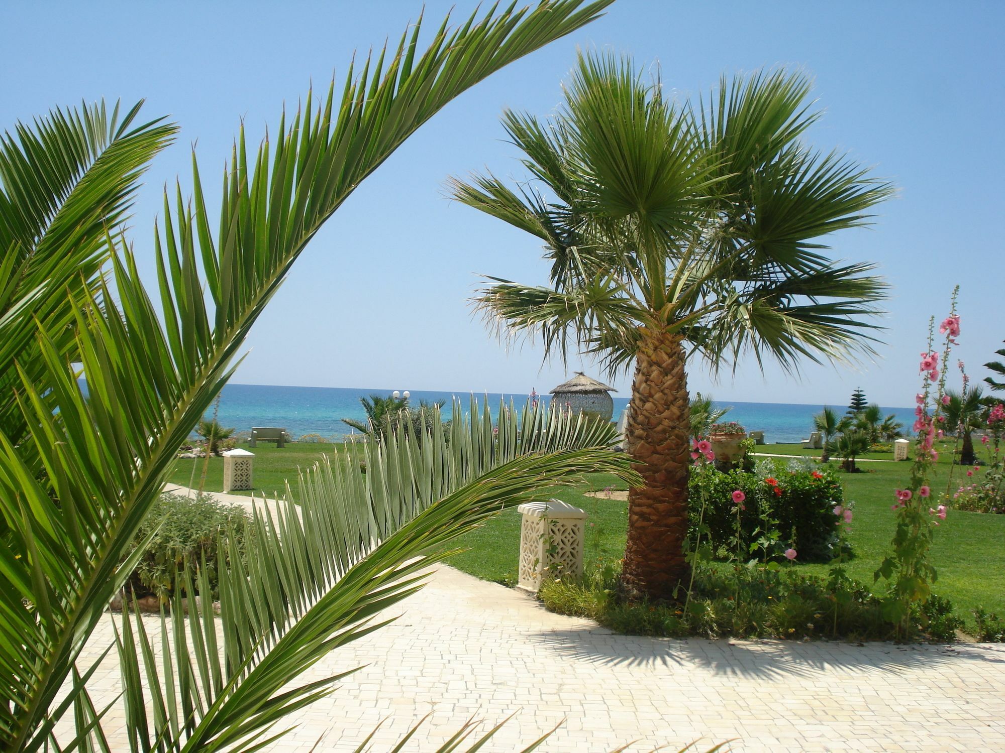 B&B Cote D'azur Hammamet Exterior foto